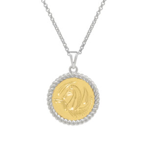 PEGASUS LUCKY CHARM