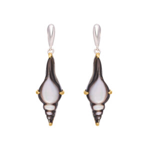 NATURAL SHELL EARRINGS